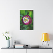 Load image into Gallery viewer, Pink Tulip Close-Up Matte Canvas Print — Stretched Floral Wall Art
