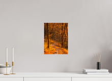 Load image into Gallery viewer, 9 x 12″, Glossy Canvas On Stretcher Frame NO TITLE
