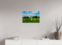 Load image into Gallery viewer, 24 x 16″, Photo Print On Fuji Crystal DP II Spring In The Park
