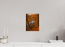 Load image into Gallery viewer, 9 x 12″, Photo Print On Fuji Crystal DP II NO TITLE
