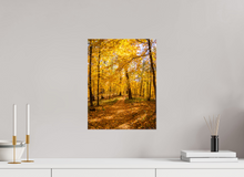 Load image into Gallery viewer, 12 x 16″, Glossy Canvas On Stretcher Frame NO TITLE
