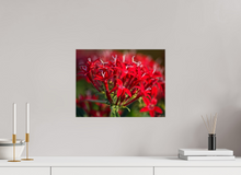 Load image into Gallery viewer, 16 x 12″, Glossy Canvas On Stretcher Frame I'm Blushing
