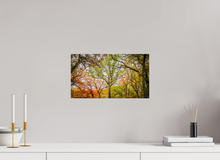 Load image into Gallery viewer, 16 x 9″, Photo Print On Fuji Crystal DP II NO TITLE
