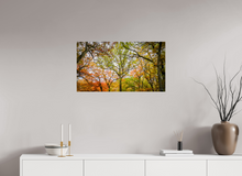 Load image into Gallery viewer, 32 x 18″, Photo Print On Fuji Crystal DP II NO TITLE
