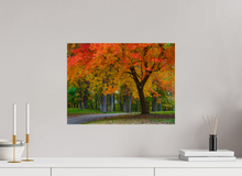 Load image into Gallery viewer, 20 x 15″, Photo Print On Fuji Crystal DP II Bever Rainbow(alpha)
