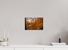 Load image into Gallery viewer, 12 x 8″, Photo Print On Fuji Crystal DP II NO TITLE
