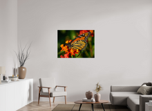 Load image into Gallery viewer, 40 x 30″, Photo Print On Fuji Crystal DP II Butterfly
