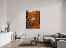 Load image into Gallery viewer, 42 x 56″, Glossy Canvas On Stretcher Frame NO TITLE
