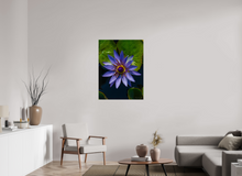Load image into Gallery viewer, 30 x 40″, Glossy Canvas On Stretcher Frame Purp Petal

