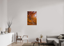 Load image into Gallery viewer, 24 x 36″, Photo Print On Fuji Crystal DP II NO TITLE
