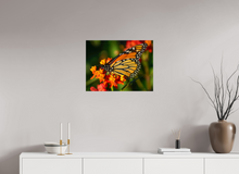 Load image into Gallery viewer, 24 x 18″, Glossy Canvas On Stretcher Frame Butterfly
