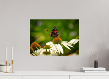 Load image into Gallery viewer, 20 x 15″, Photo Print On Fuji Crystal DP II Dibs!
