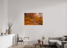 Load image into Gallery viewer, 45 x 30″, Photo Print On Fuji Crystal DP II NO TITLE
