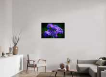 Load image into Gallery viewer, 36 x 24″, Photo Print On Fuji Crystal DP II Purp Alpha
