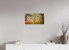 Load image into Gallery viewer, 24 x 13.5″, Photo Print On Fuji Crystal DP II NO TITLE

