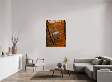 Load image into Gallery viewer, 36 x 48″, Photo Print On Fuji Crystal DP II NO TITLE
