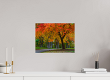 Load image into Gallery viewer, 16 x 12″, Photo Print On Fuji Crystal DP II Bever Rainbow(alpha)
