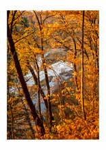 Load image into Gallery viewer, GREETING CARDS SAMPLER
