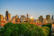 Load image into Gallery viewer, NO TITLE
