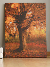 Load image into Gallery viewer, Naptime A
