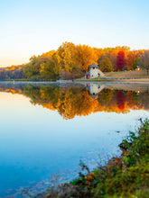 Load image into Gallery viewer, Backbone B
