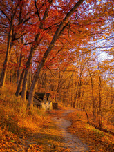 Load image into Gallery viewer, Backbone A
