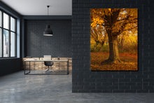 Load image into Gallery viewer, Naptime A
