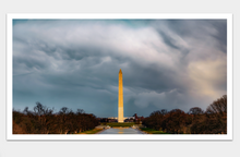 Load image into Gallery viewer, Political Climate beta
