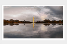 Load image into Gallery viewer, Political Echo One
