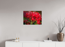 Load image into Gallery viewer, 24 x 18″, Glossy Canvas On Stretcher Frame I'm Blushing
