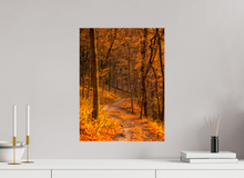 Load image into Gallery viewer, 15 x 20″, Glossy Canvas On Stretcher Frame NO TITLE
