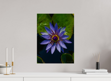 Load image into Gallery viewer, 15 x 20″, Photo Print On Fuji Crystal DP II Purp Petal
