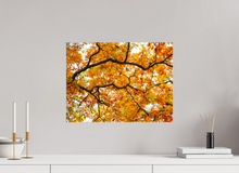 Load image into Gallery viewer, 20 x 15″, Photo Print On Fuji Crystal DP II NO TITLE
