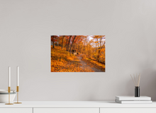 Load image into Gallery viewer, 15 x 10″, Glossy Canvas On Stretcher Frame NO TITLE
