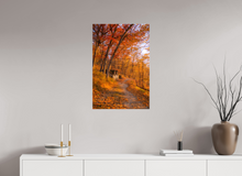 Load image into Gallery viewer, 20 x 30″, Glossy Canvas On Stretcher Frame NO TITLE
