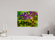Load image into Gallery viewer, 16 x 12″, Glossy Canvas On Stretcher Frame Nature's Snack

