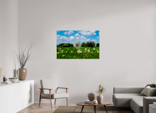 Load image into Gallery viewer, 45 x 30″, Photo Print On Fuji Crystal DP II Spring In The Park
