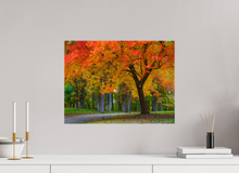 Load image into Gallery viewer, 20 x 15″, Glossy Canvas On Stretcher Frame Bever Rainbow(alpha)
