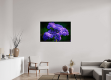 Load image into Gallery viewer, 45 x 30″, Photo Print On Fuji Crystal DP II Purp Alpha

