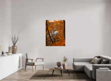 Load image into Gallery viewer, 36 x 48″, Glossy Canvas On Stretcher Frame NO TITLE
