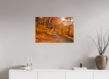 Load image into Gallery viewer, 30 x 20″, Glossy Canvas On Stretcher Frame NO TITLE
