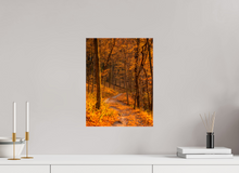 Load image into Gallery viewer, 12 x 16″, Glossy Canvas On Stretcher Frame NO TITLE
