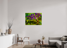Load image into Gallery viewer, 40 x 30″, Photo Print On Fuji Crystal DP II Nature's Snack
