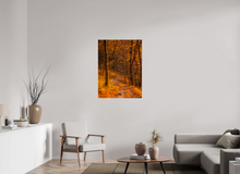 Load image into Gallery viewer, 30 x 40″, Photo Print On Fuji Crystal DP II NO TITLE
