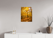 Load image into Gallery viewer, 18 x 24″, Glossy Canvas On Stretcher Frame NO TITLE
