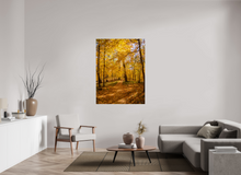 Load image into Gallery viewer, 42 x 56″, Photo Print On Fuji Crystal DP II NO TITLE
