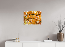 Load image into Gallery viewer, 24 x 18″, Photo Print On Fuji Crystal DP II NO TITLE
