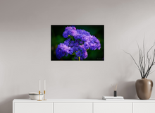 Load image into Gallery viewer, 30 x 20″, Photo Print On Fuji Crystal DP II Purp Alpha
