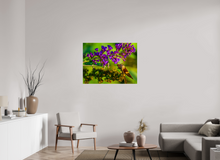 Load image into Gallery viewer, 40 x 30″, Glossy Canvas On Stretcher Frame Nature's Snack

