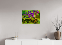 Load image into Gallery viewer, 24 x 18″, Glossy Canvas On Stretcher Frame Nature's Snack
